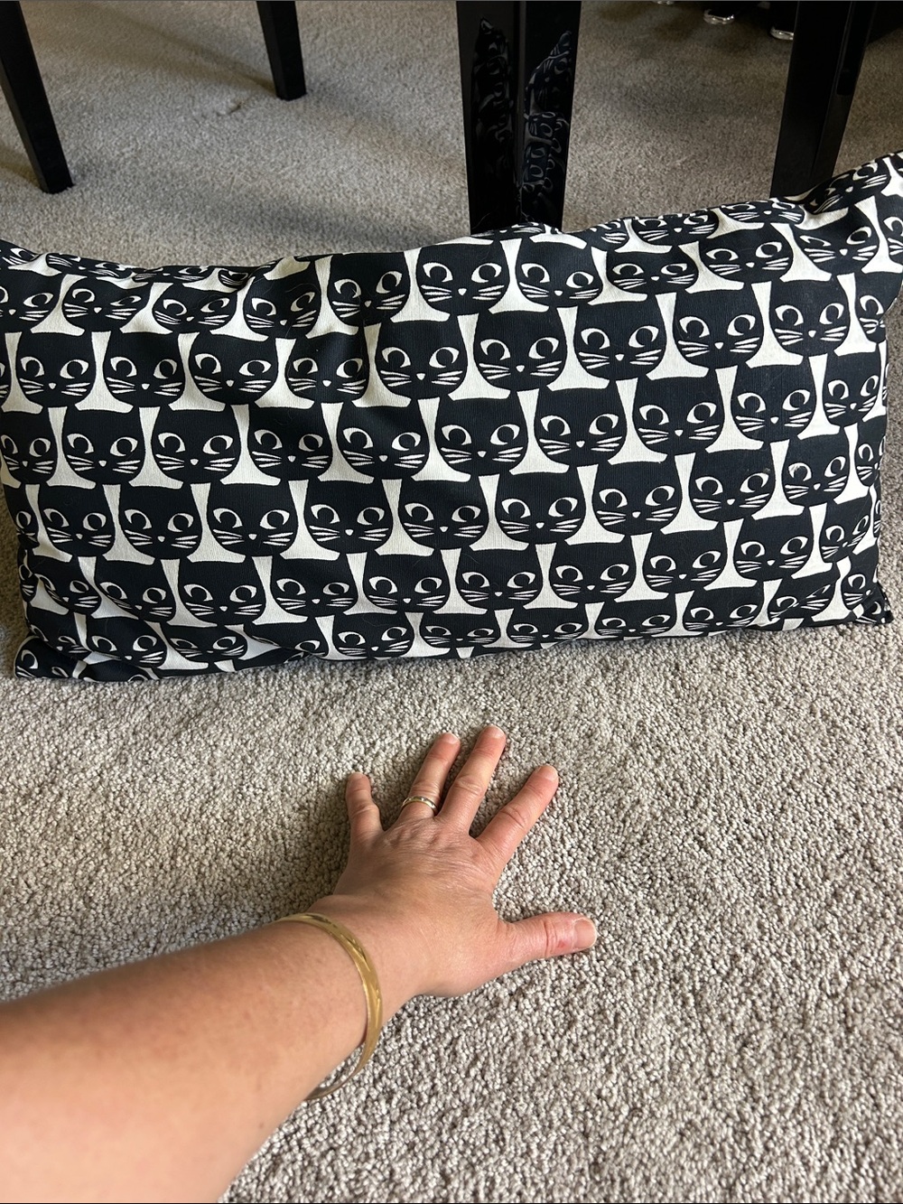 Vineyard Vines Navy Stripe Pillow with Red Piping & Black Cat Pattern Pillow image 3